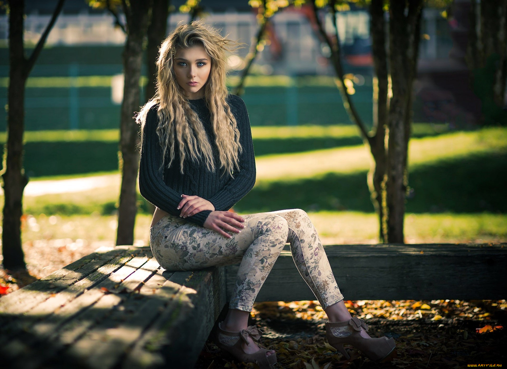 , - ,  , , , , , , , , 